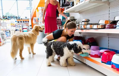 PetShop & Veterinária